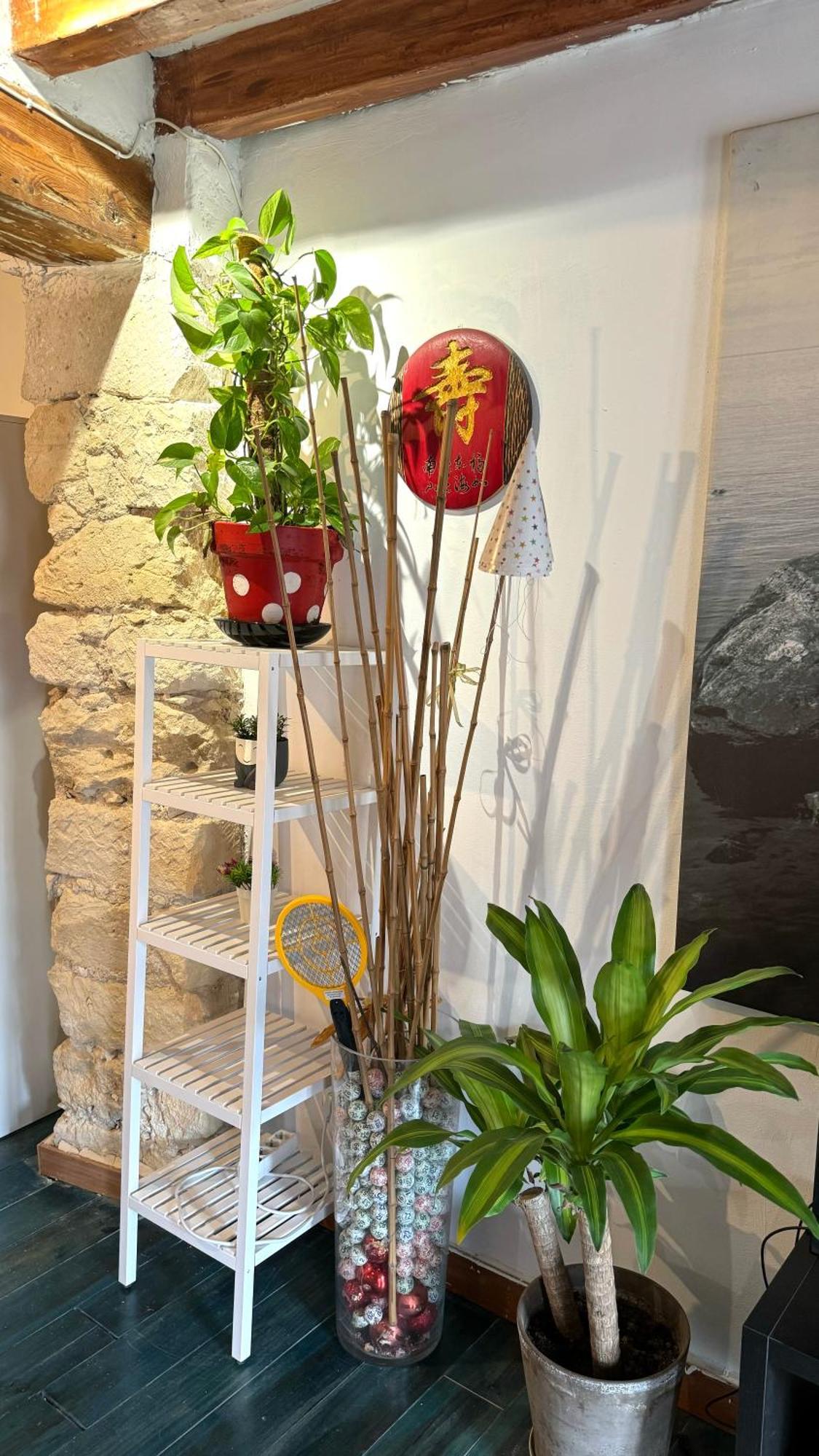 Loft Estilo Cine En El Centro Historico - Casco Antiguo Διαμέρισμα Αλικάντε Εξωτερικό φωτογραφία